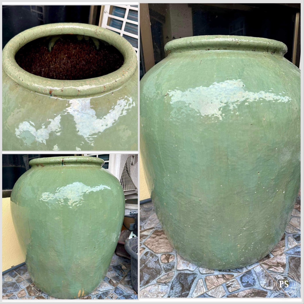 โอ่งเขียวไข่กา ขนาดสูง70ซม ใบใหญ่ สภาพสวยสมบูรณ์