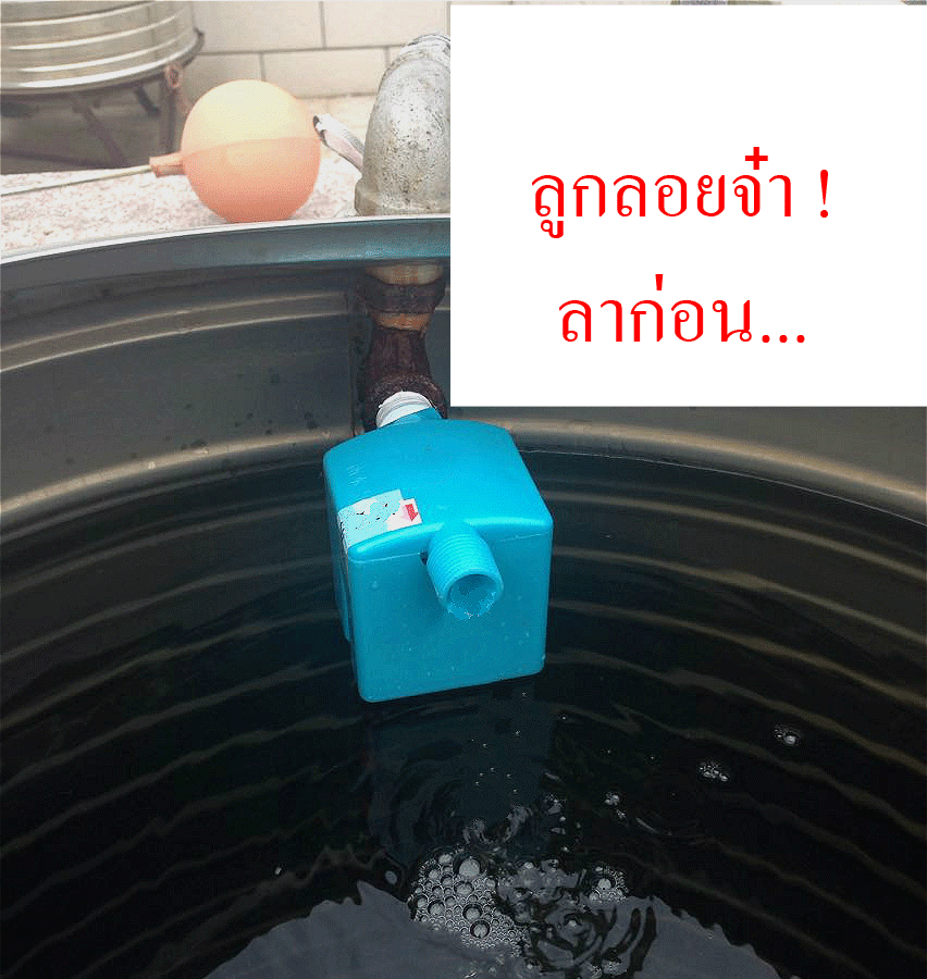 V02 ก๊อกน้ำลูกลอยอัตโนมัติ 6 หุล