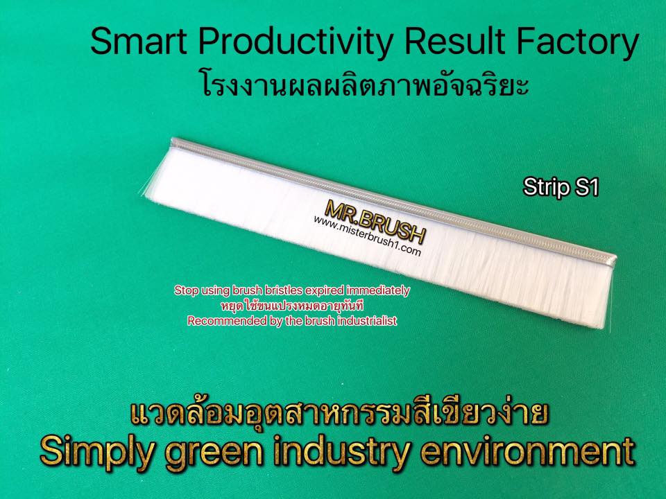 แปรงแถบบางบาง