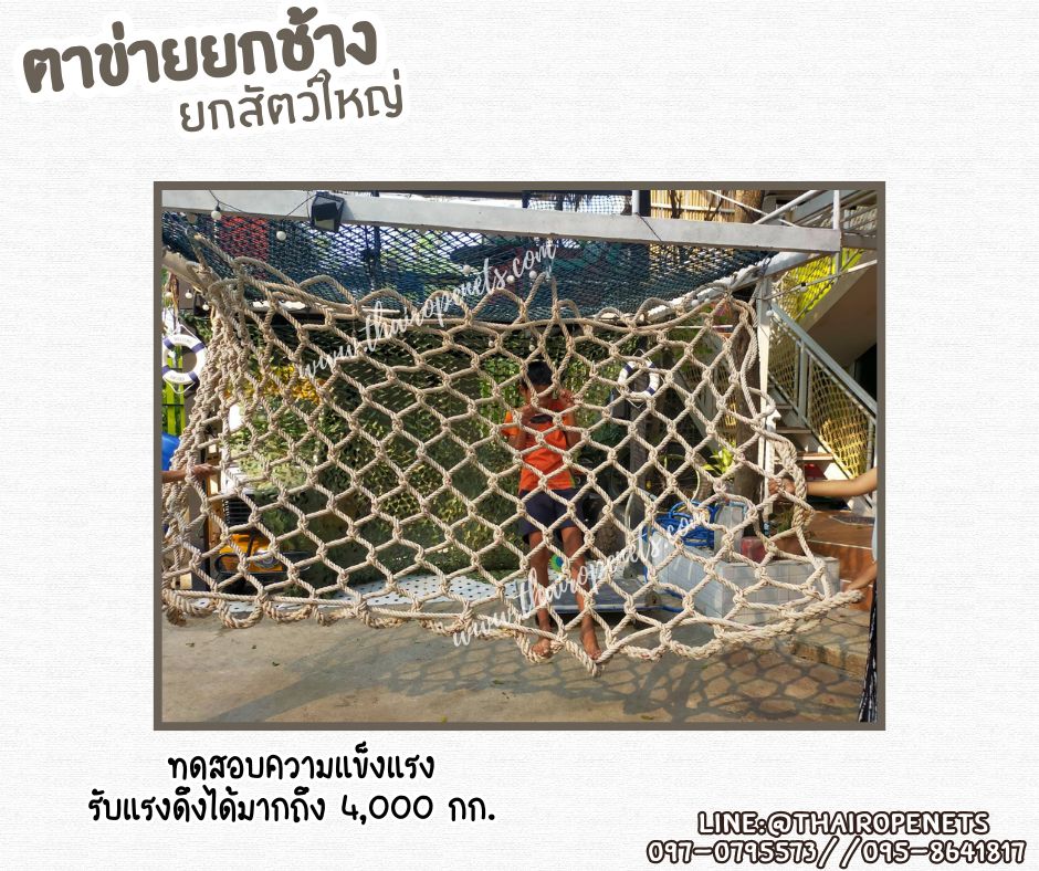 ตาข่ายยกช้าง ตาข่ายเคลื่อนย้ายสัตว์ Carring Bag เชือกใยยักษ์ถัก รับแรงดึงได้มากถึง 4,000 กก. รับทำตามขนาดที่ต้องการ