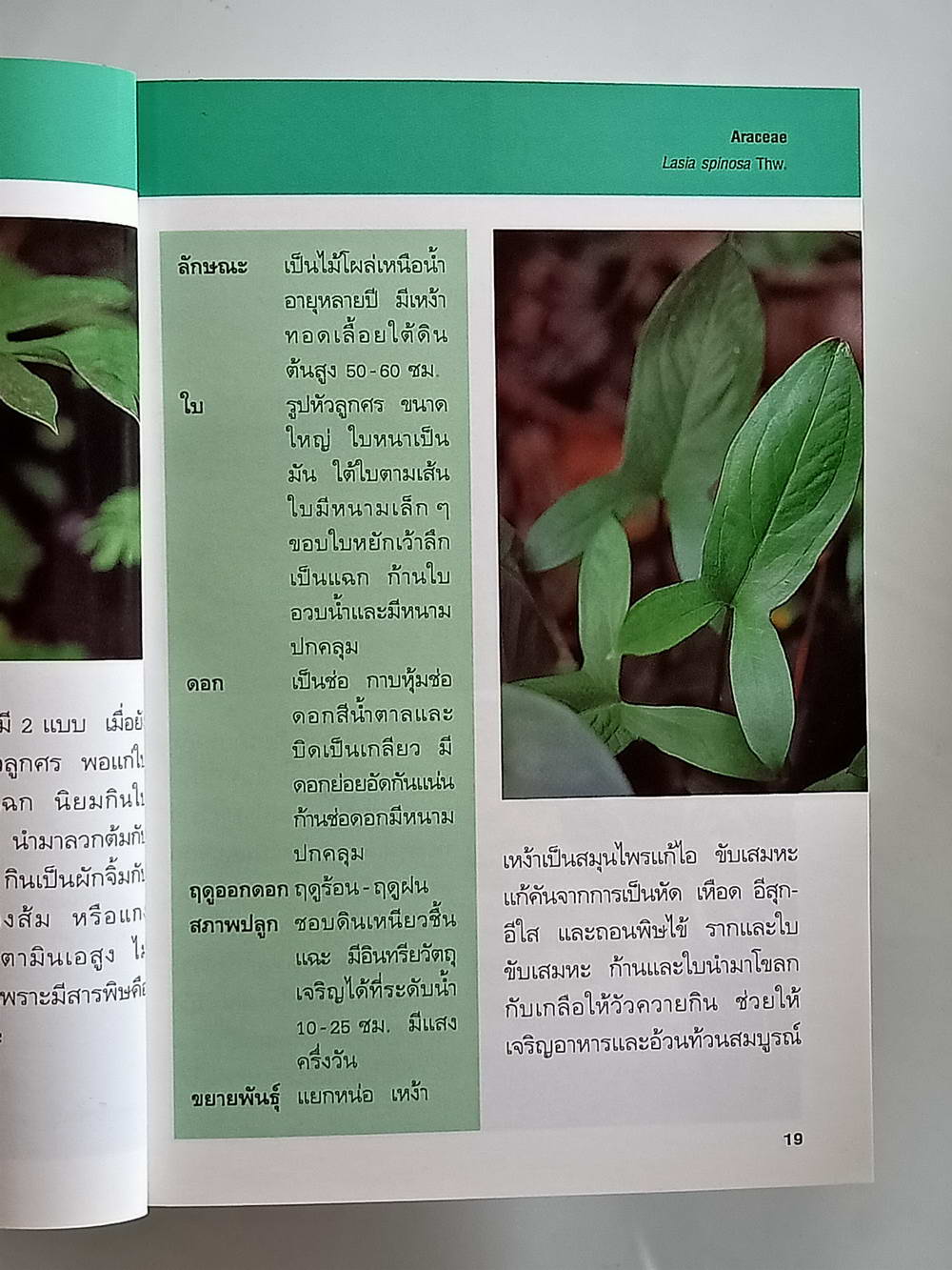 หนังสือมือสอง 170 "คู่มือคนรักต้นไม้พรรณไม้น้ำเล่ม 2" แนะนำถึงประเภทของพรรณไม้น้ำชนิดต่างๆ ที่ปลูกในเมืองไทย รวมทั้งวิธีการปลูก ขยายพันธุ์และดูแล ความหนา 95 หน้า หนังสือเล่มนี้ขายแล้ว