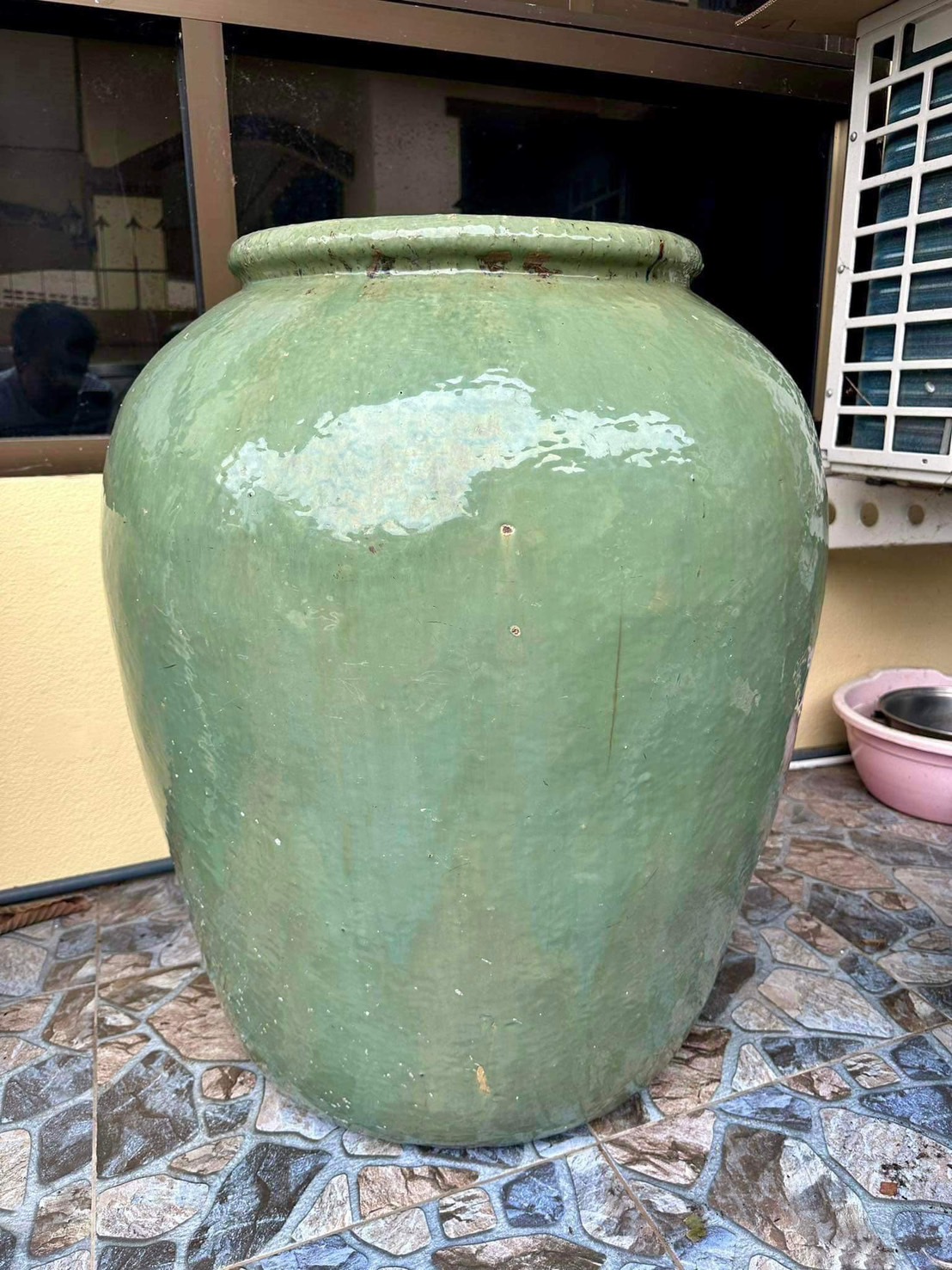 โอ่งเขียวไข่กา ขนาดสูง70ซม ใบใหญ่ สภาพสวยสมบูรณ์