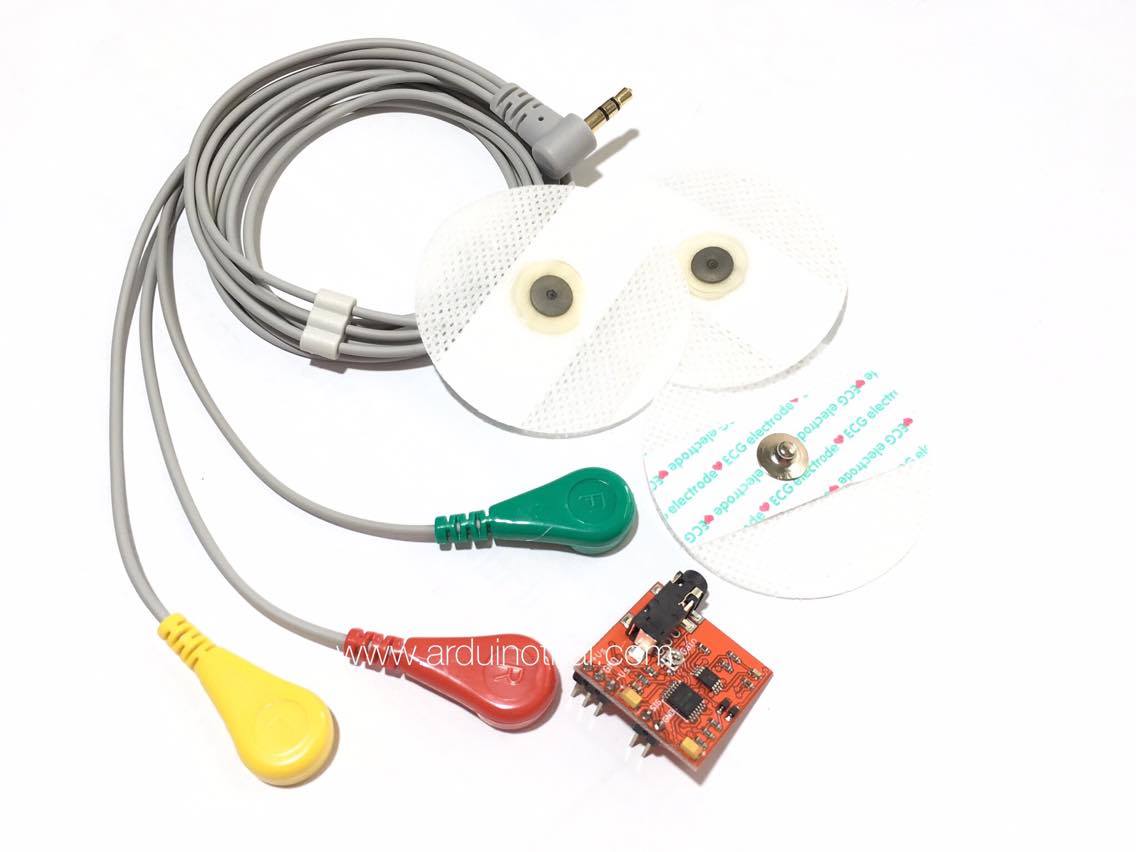 Muscle Signal Sensor EMG Sensor เซนเซอร์วัดสัญญาณกล้ามเนื้อ สต็อกไทยส่งไว
