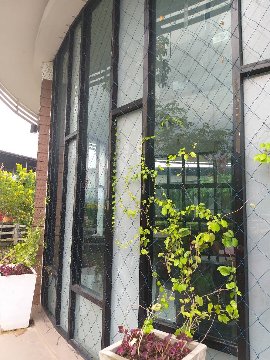 ตาข่ายไม้เลื้อย