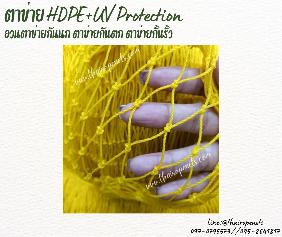 ตาข่ายอวนกันนก สีเหลือง เชือกหนา 1.5 มิลช่องตา 1x1 นิ้ว ตาข่าย HDPE เคลือบสารป้องกัน UV ขนาดยกม้วน 10x25 เมตร