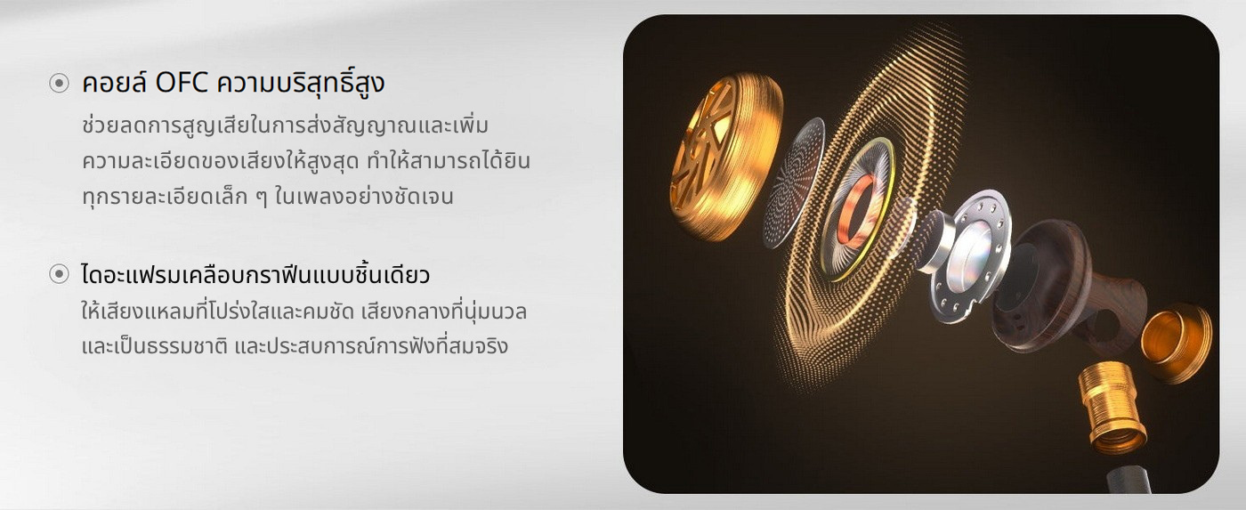 Sivga M300 หูฟังเอียบัด HiFi คุณภาพสูง พื้นหลังสะอาด ความละเอียดสูง เวทีเสียงกว้าง บอดี้ไม้ African Ebony ประกันศูนย์ไทย