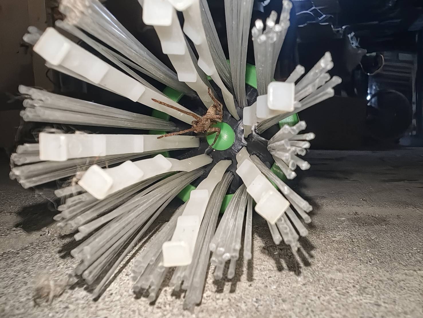 OT161 ไม้จับแมงมุม ตะขาบ อึ่งอ่าง แมลงสุดสยิวทั้งหลายแหล่ฯลฯ