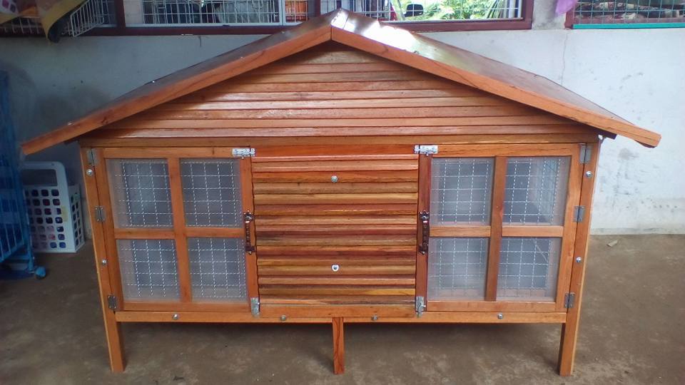 บ้านน้องหมาประตูคู่