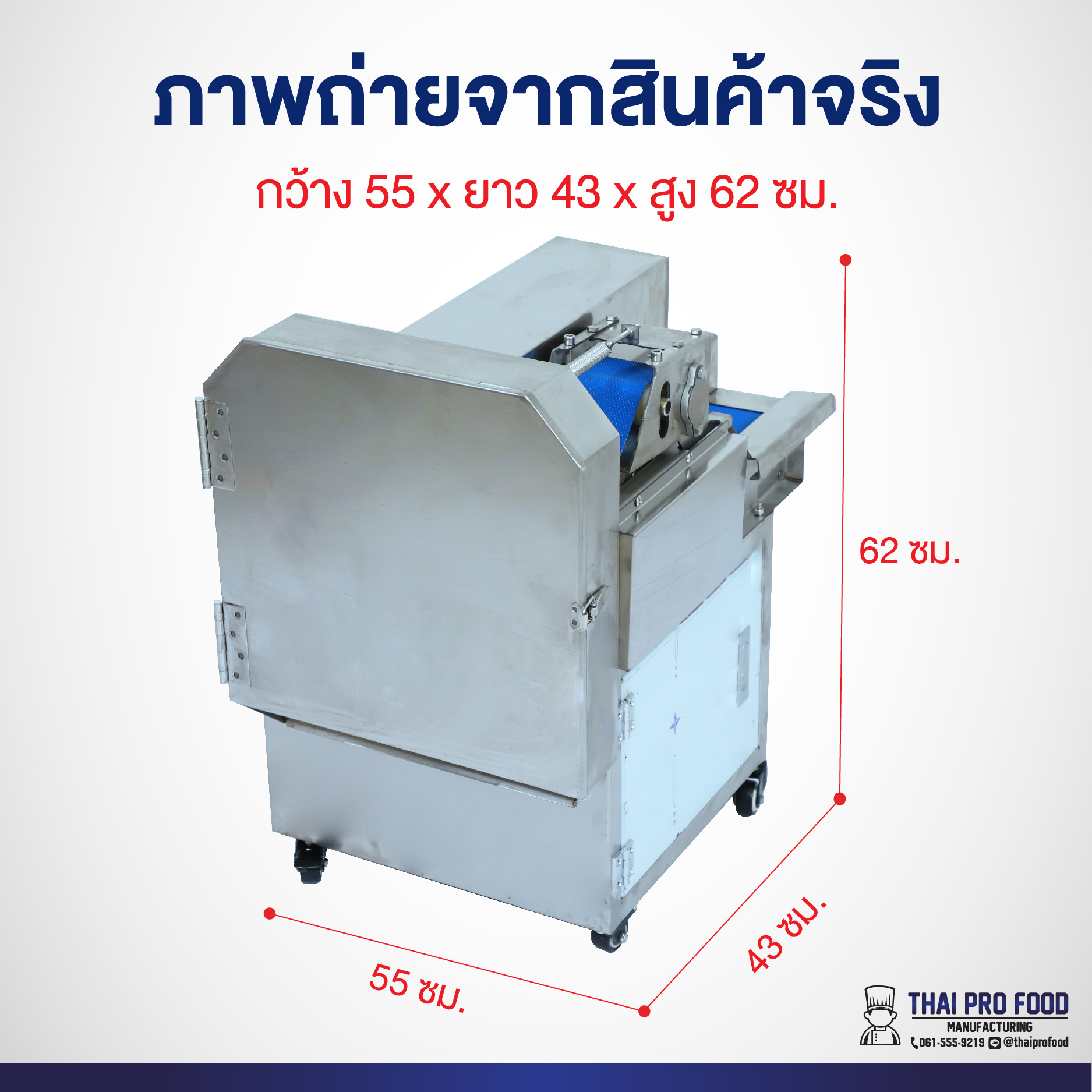 เครื่องหั่นผัก แบบสายพาน (ระบบไฟฟ้า) ปรับขนาดความสั้น-ยาวในการหั่นได้ 2-30 มิลลิเมตร