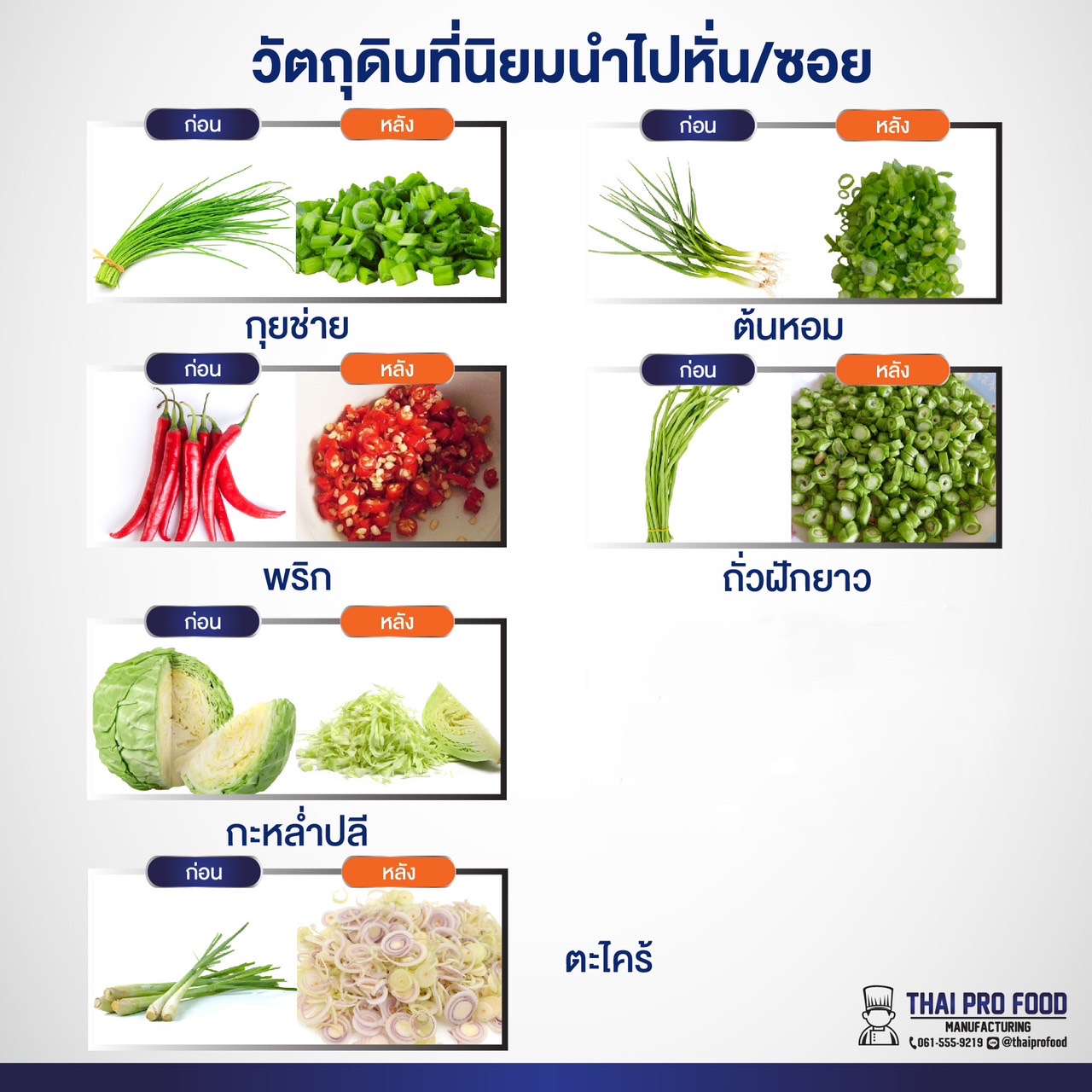 เครื่องหั่นผัก แบบสายพาน (ระบบไฟฟ้า) ปรับขนาดความสั้น-ยาวในการหั่นได้ 2-30 มิลลิเมตร