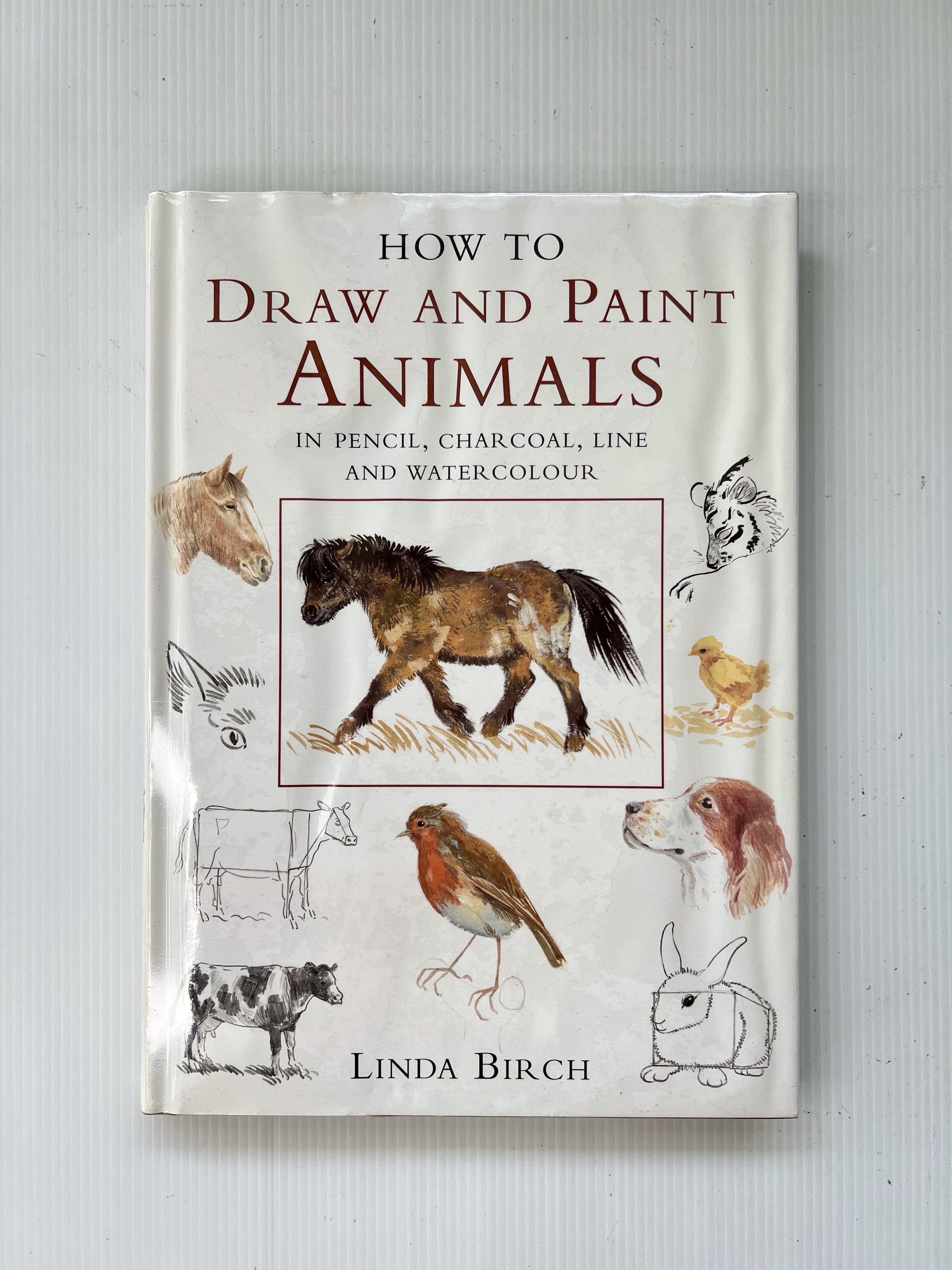 How to Draw and Paint Animals in Pencil, Charcoal, Line and Watercolour Linda Birch January 1, 1999 90-99% Hardcover