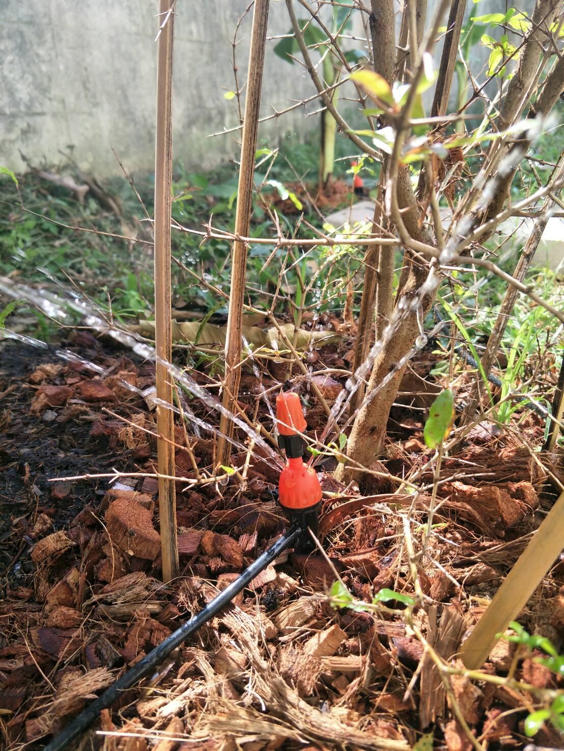 OT44 ชุดหัวรดนน้ำต้นไม้ แบบ MICRO รุ่นหัวจ่ายน้ำกันหุนฟรี สาย 10 เมตร 7 หัว