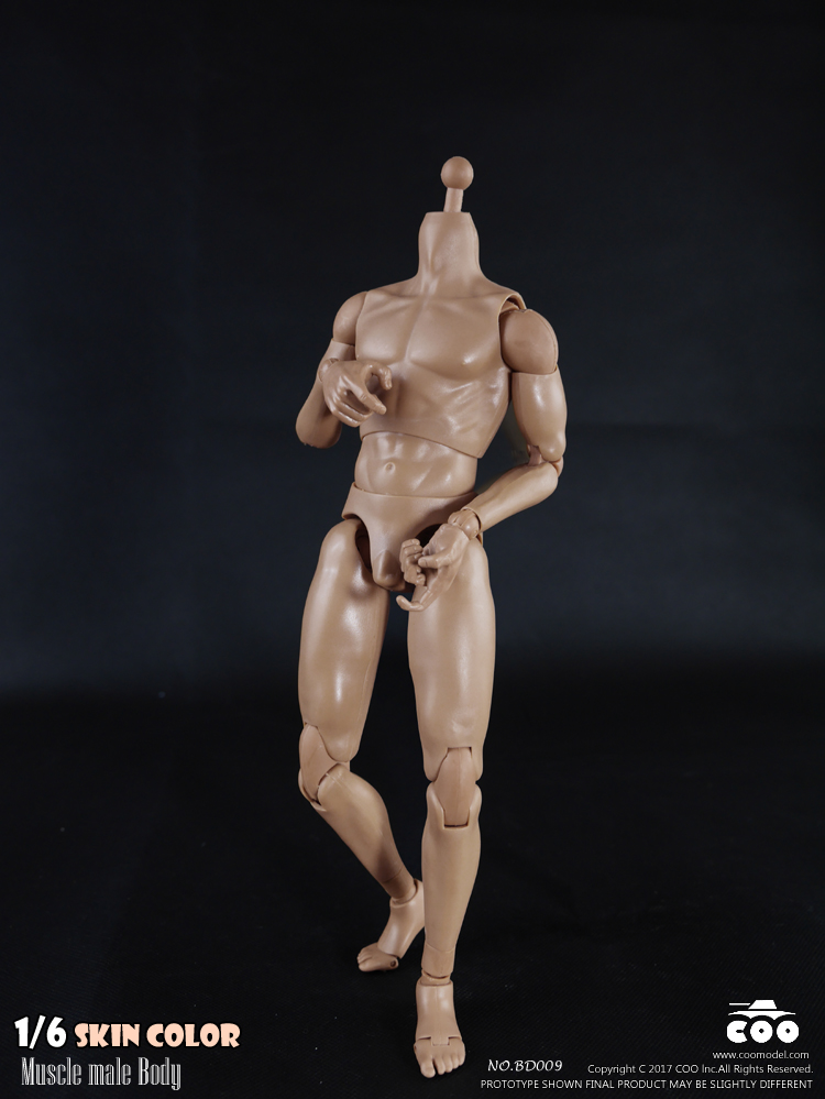 COOMODEL BD009 Standard Muscle Arm Body