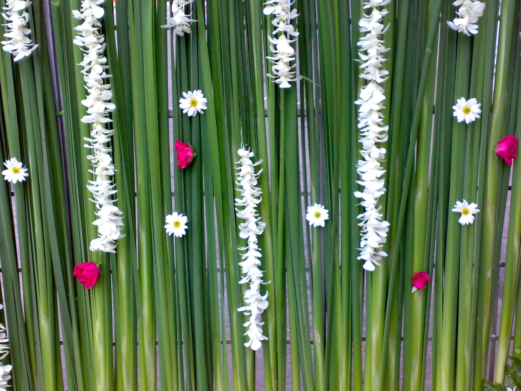 ซุ้มถ่ายรูป ธีมงาน ชมพู