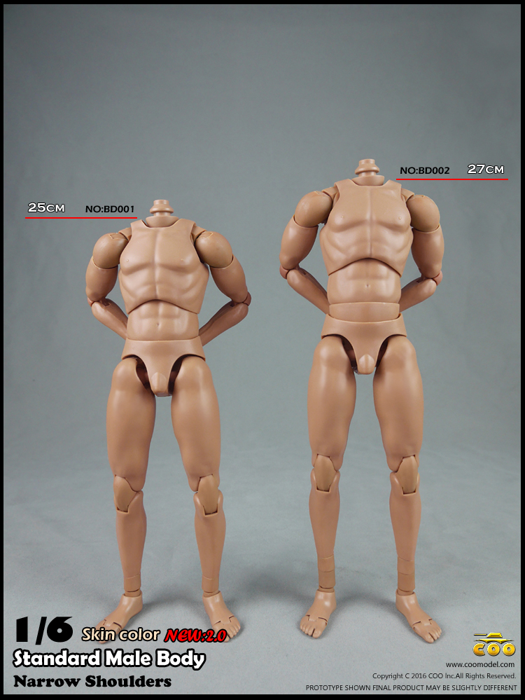 COOMODEL BD001, BD002 Narrow shoulders male Body 2.0
