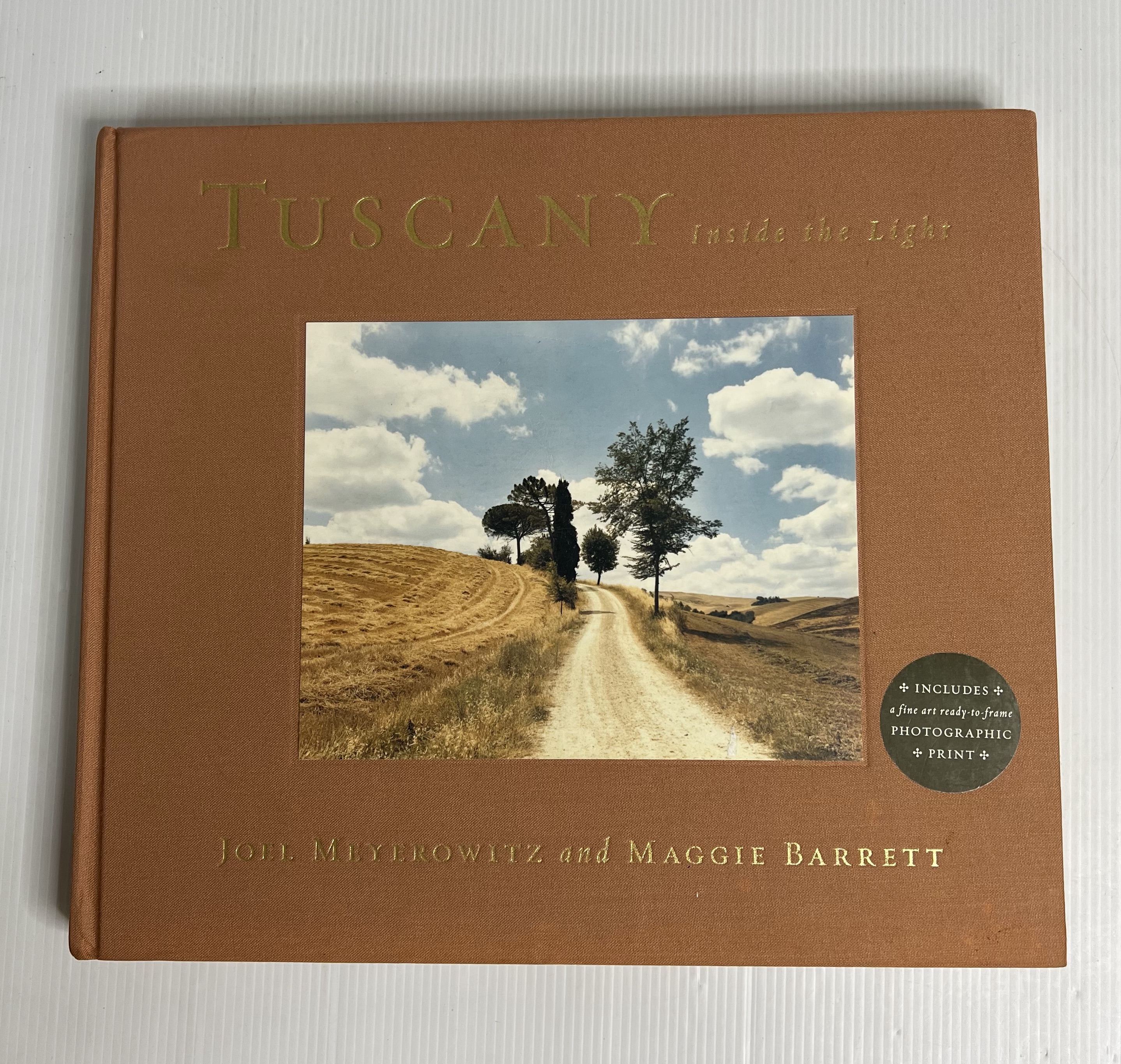 Tuscany: Inside the Light Joel Meyerowitz October 5, 2010 90-99% Hardcover