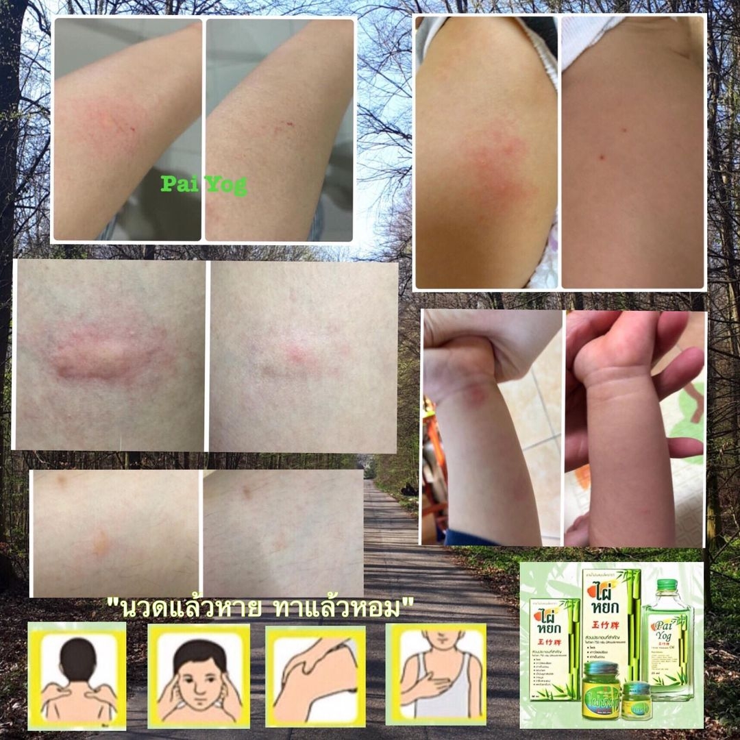 น้ำมันสมุนไพรไผ่หยก ขนาดพกพก 25 มล. Pai Yog Herbal Masage Oil 25 ml.