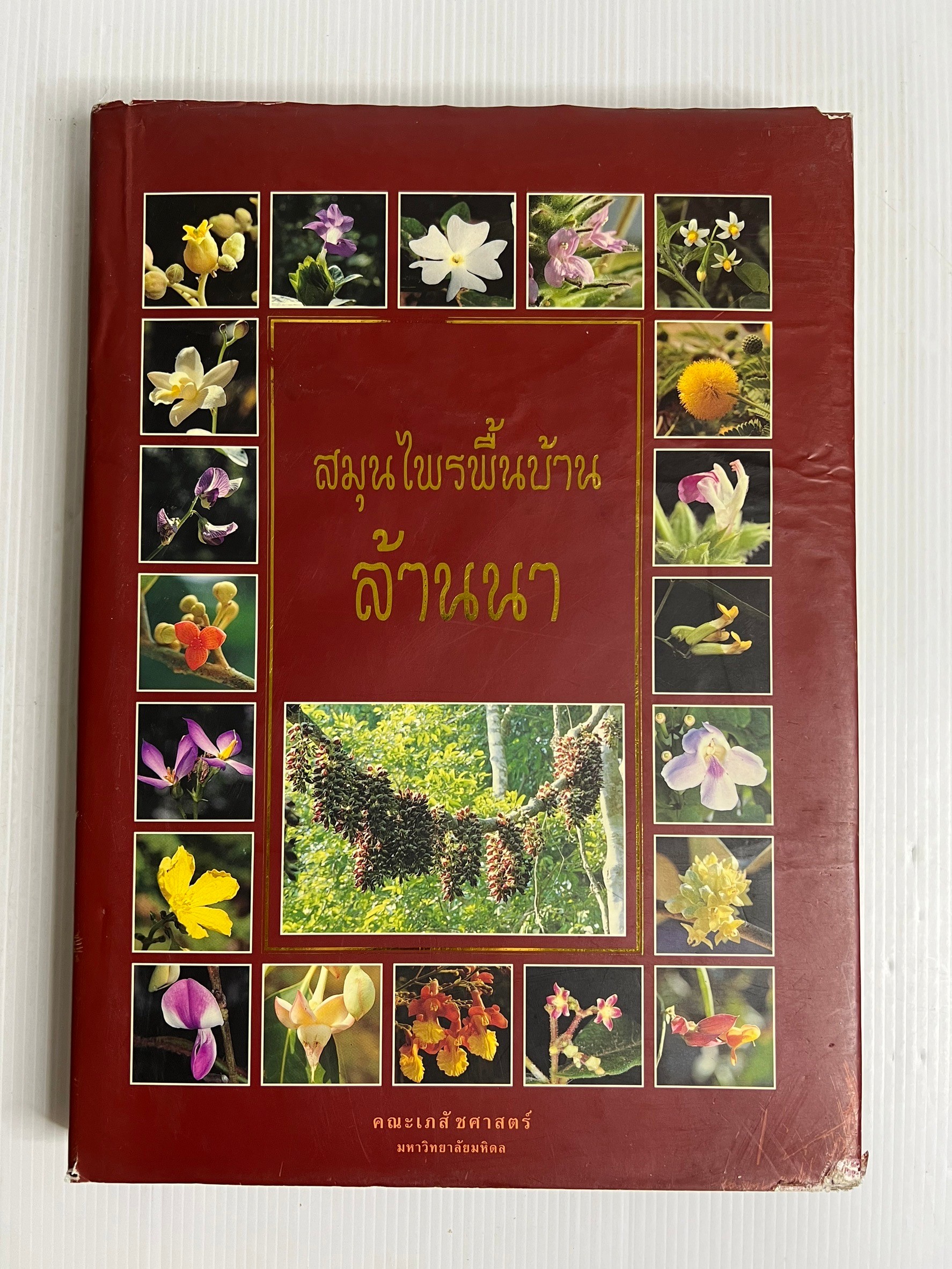 หนังสือ สมุนไพรพื้นบ้านล้านนา 2539 ปกแข็ง