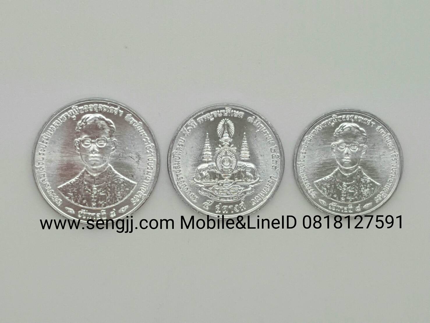 เหรียญกษาปณ์อลูมิเนีบม 50 ปี ครองราชย์ กาญจนาภิเษก พ.ศ.2539 10,5,1 สตางค์ครบชุด