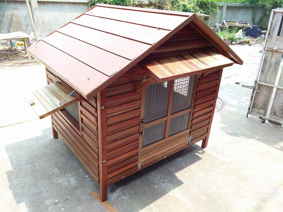 บ้านน้องหมาหลังใหญ่ประตูสวิงด้านหลัง