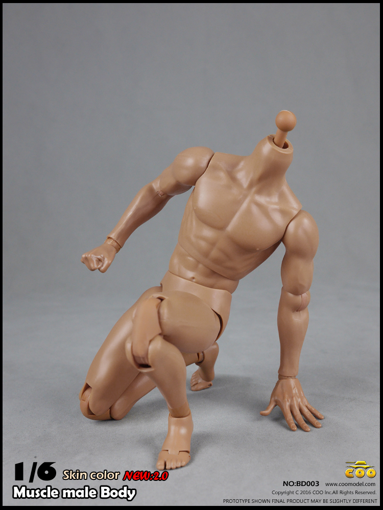 COOMODEL BD003, BD004 Muscle male Body 2.0