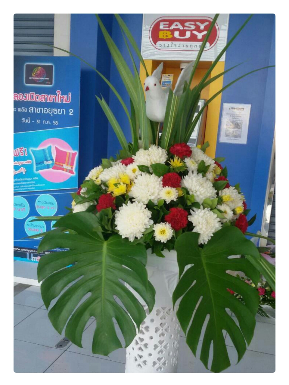 สแตนดอกไม้สด เปิดธุรกิจใหม่ Grand Opening