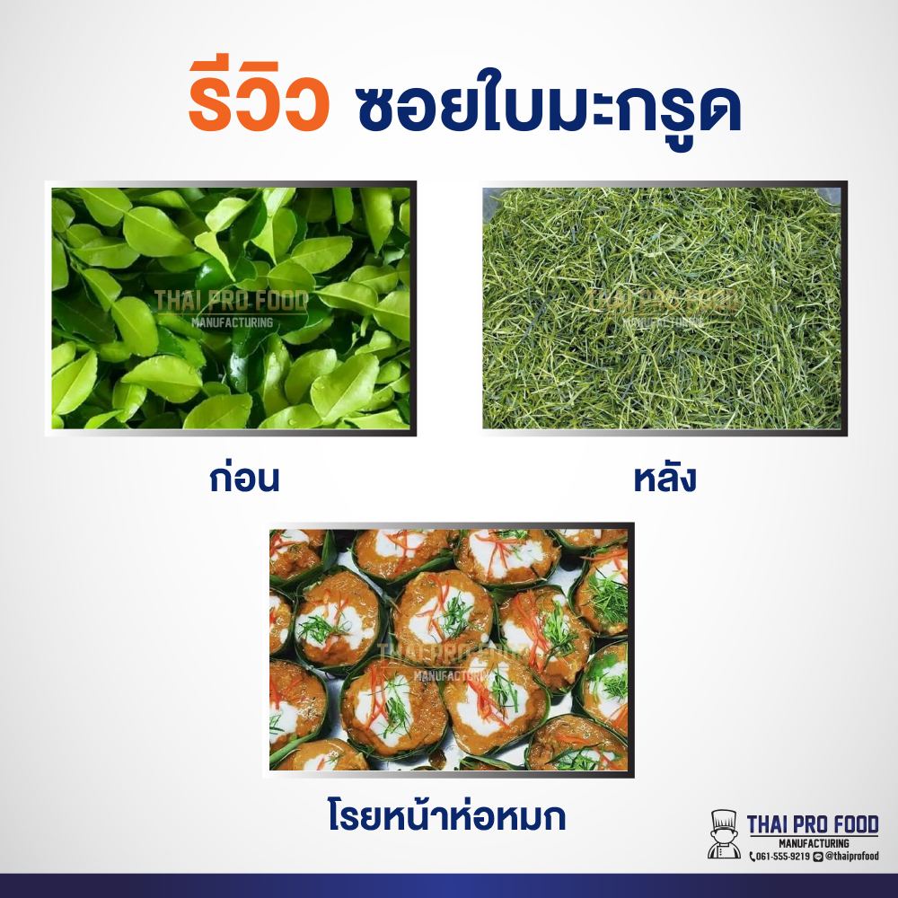เครื่องซอยใบมะกรูด ใบมีดสแตนเลสเกรดอาหาร ขนาดที่ซอยได้ 1 มิลลิเมตร เชิงพาณิชย์