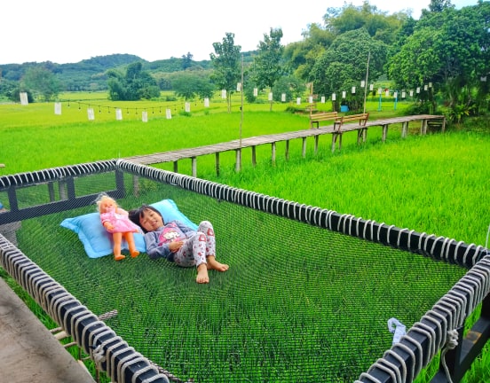 เปลนอนคาเฟ่