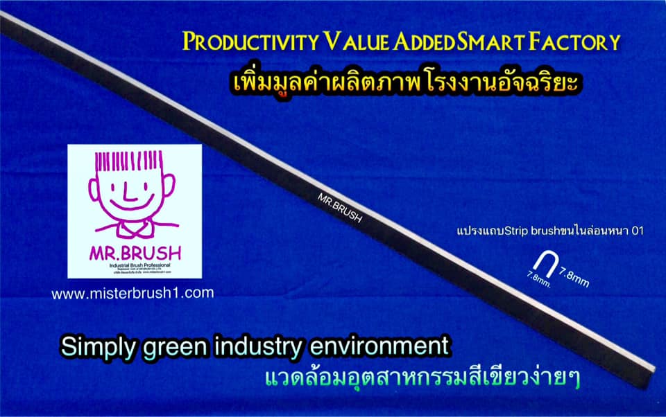 แปรงแถบStrip brushหนาบาง