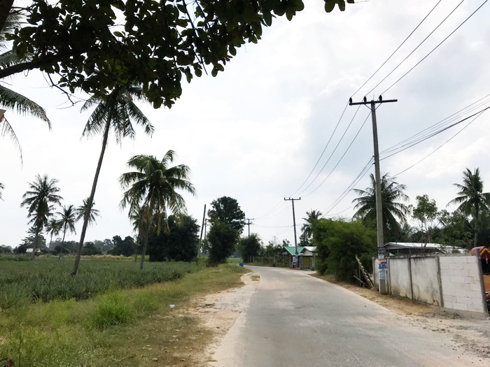 ที่ดิน พัทยา ถ.ห้วยยายมุก 28 ไร่ 72 ตร.ว. ถนนทางหลวงหมายเลข 36 (ถ.เลี่ยงเมือง พัทยา-ระยอง) ต.โป่ง อ.บางละมุง ชลบุรี