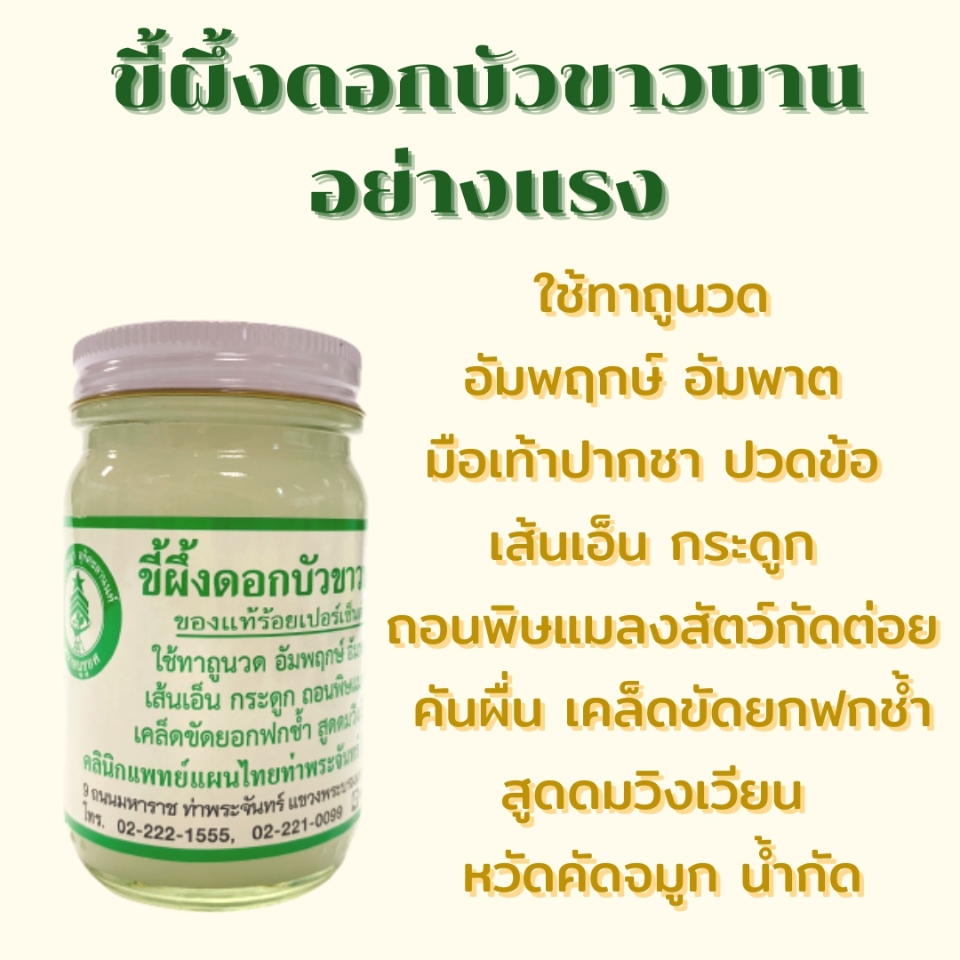 แพ็ค 12 ขวด ขี้ผึ้งดอกบัวขาวบานอย่างแรง (หมอปริญญา)(กระต่ายชมจันทร์) 100 กรัม สำเนา