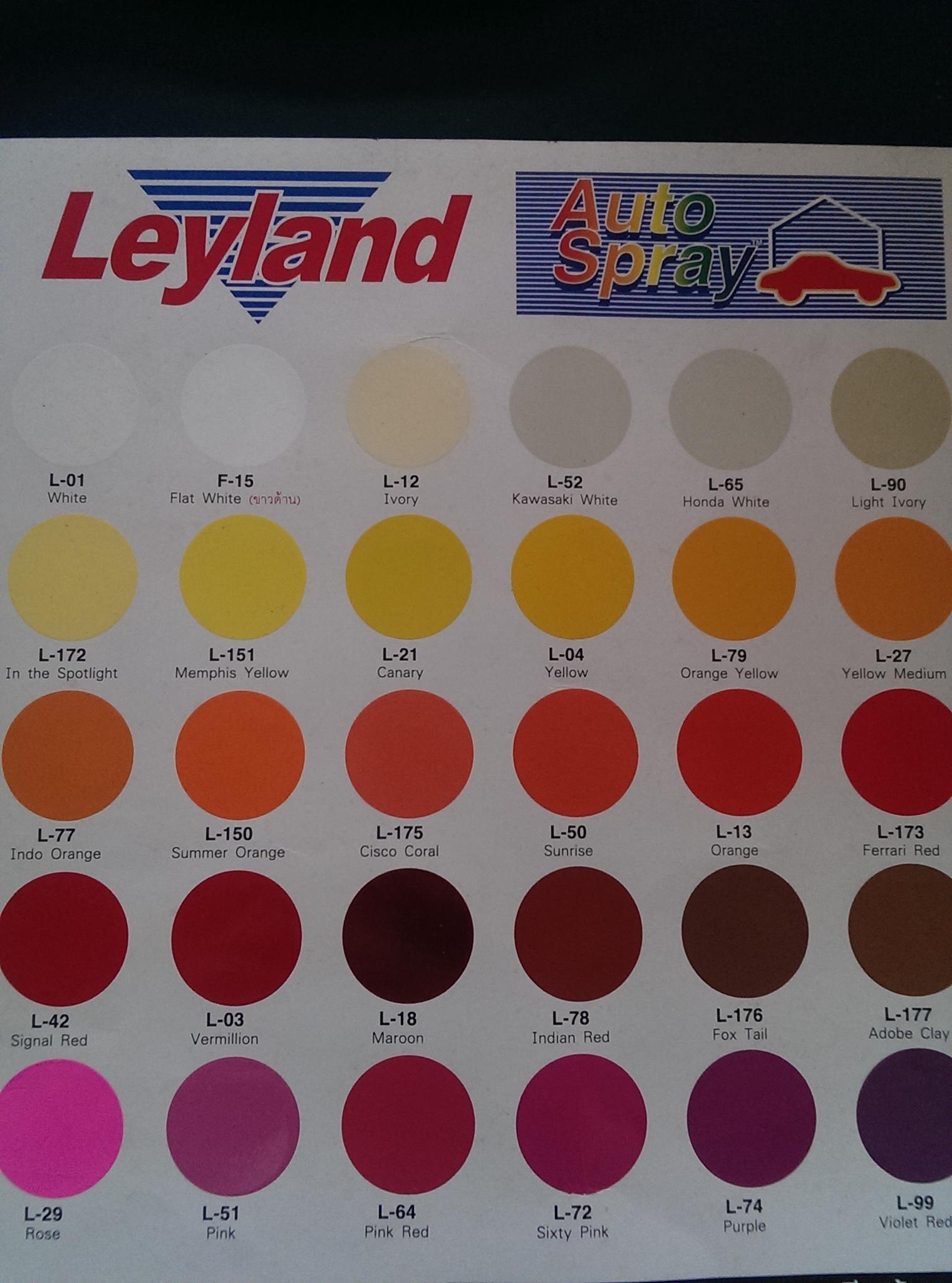 สีพ่น สเปรย์ Leyland L-02 (Black)