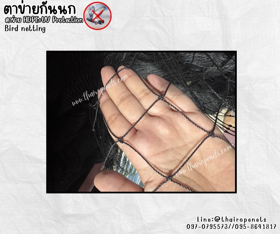 Bird netting ตาข่ายกันนก เชือกหนา 1.5 มิล ช่องตา 5x5 cm.ยกม้วน 20x20 เมตร ตาข่ายเคลือบสารป้องกัน UV ทนแดด ทนฝน ใช้งานกลางแจ้ง มากกว่า 8-10 ปี