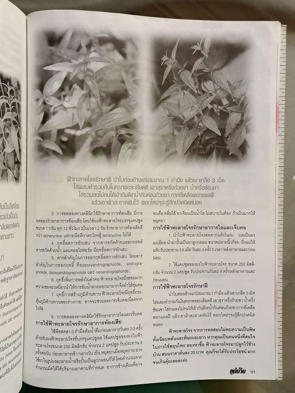 หนังสือมือสอง 055 นิตยสารแม่บ้าน ปีที่ 26 ฉบับที่ 388 ประจำเดือนกันยายน 2544 ความหนา 202 หน้า