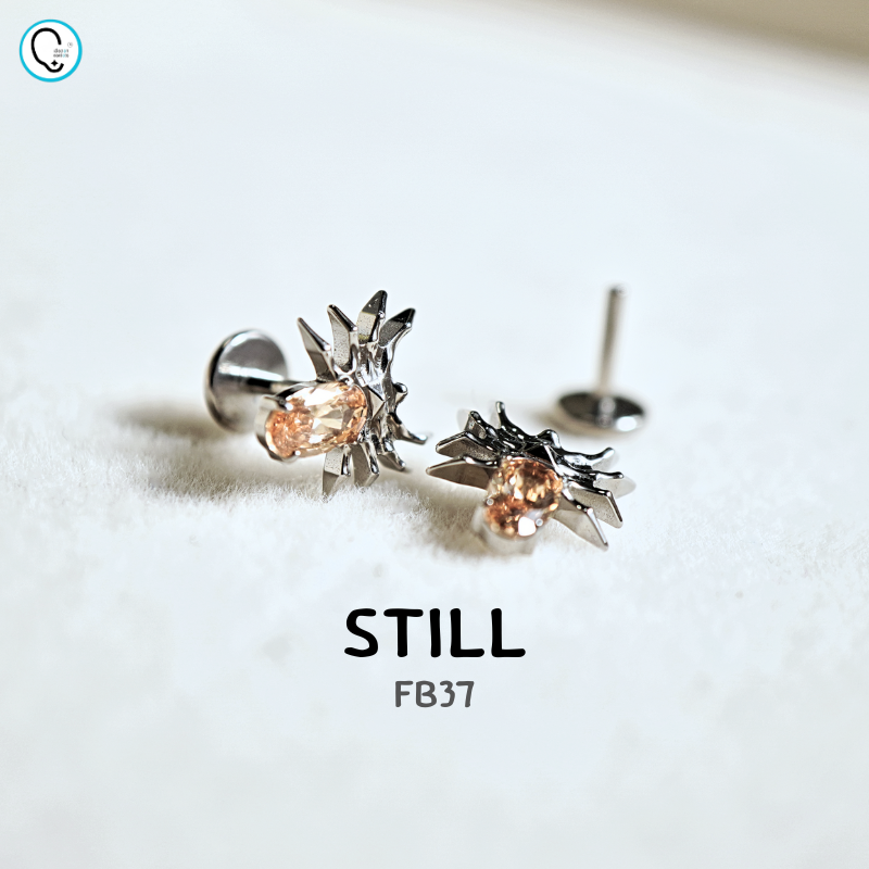 ต่างหูไทเทเนียม 100% แป้นแบนขันน็อต สำหรับผิวแพ้ง่าย ใส่สบายเรียบหลังหู รหัส FB (ราคา/ข้าง)