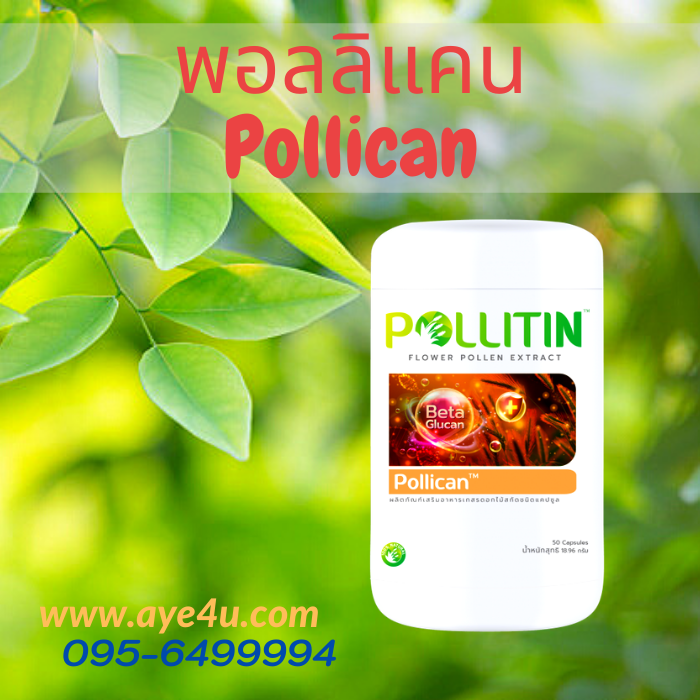 พอลลิแคน Pollican