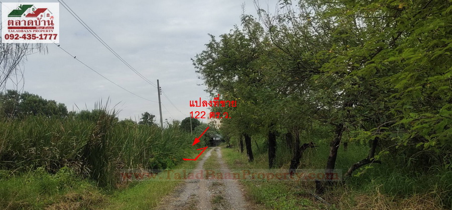 ที่ดิน 122 ตร.ว. ซ.อ่อนนุช 80 ซอยโลตัสอ่อนนุช ถ.สุขุมวิท 77 (อ่อนนุช) ประเวศ กรุงเทพฯ แปลงมุม ติดถนน 2 ด้าน ทำเลดีมาก