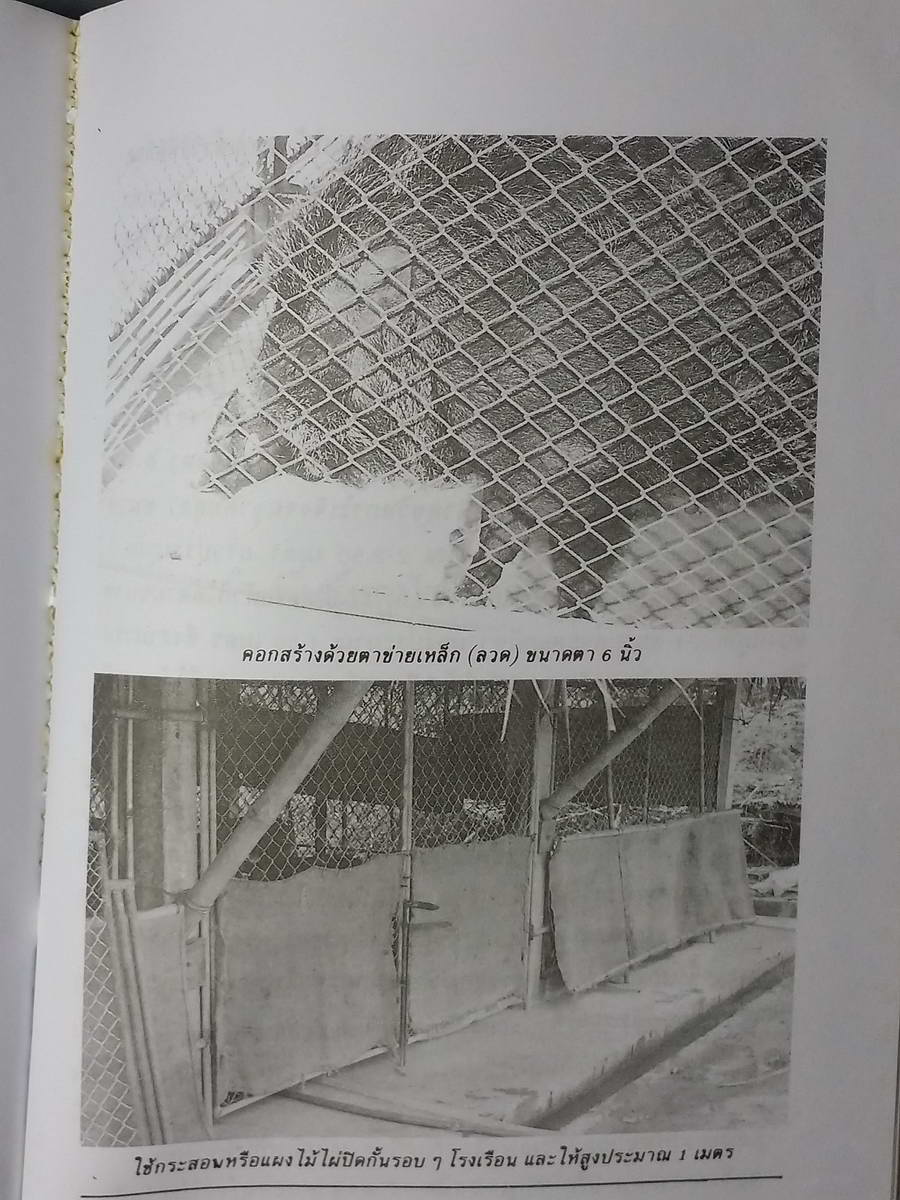 หนังสือมือสอง 226 หนังสือการเลี้ยงหมูป่า โดย ไชยา อุ้ยสูงเนิน จำนวน 63 หน้า ราคาปก 45 บาท พิมพ์ครั้งที่ 3