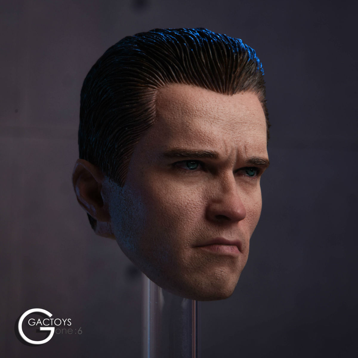 GACTOYS GC016 American male headsculpt