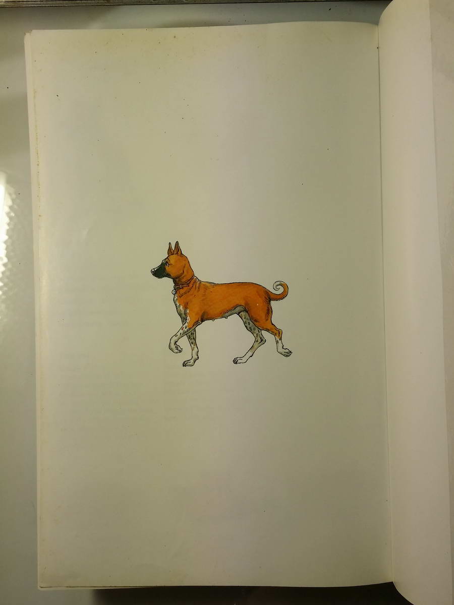 หนังสือมือสอง 259 เรื่อง ทองแดง ฉบับการ์ตูน พระราชนิพนธ์ ของ พระบาทสมเด็จพระเจ้าอยู่หัวภูมพลอดเดช ในหลวงรัชกาลที่ 9 กระดาษอาร์ตมัน 4 สีทั้งเล่ม ราคาหน้าปก 149 บาท