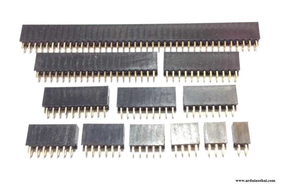 Female socket 2.54MM pitch double row