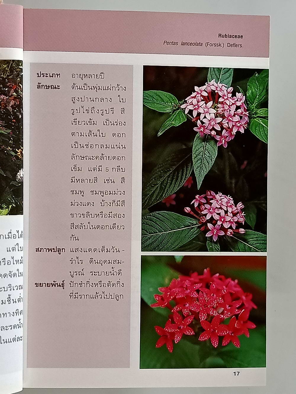 หนังสือมือสอง 171 "คู่มือคนรักต้นไม้ไม้ดอกคลุมดิน" แนะนำถึงประเภทของไม้ดอกคลุมดิน วิธีการปลูก ขยายพันธุ์และการดูแล ความหนา 95 หน้า