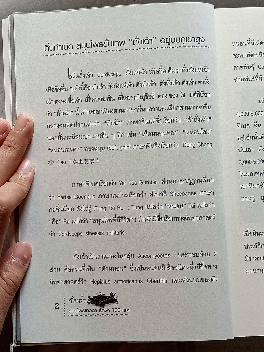 หนังสือมือสอง 139 "ถั่งเฉ้าสมุนไพรเทวดารักษา100โรค" สรรพคุณคุณมากล้นเหลือคณา มีราคาดุจดั่งทองคำได้สรรพนามว่า ไวอากร้าแห่งเทือกเขาหิมาลัย ความหนา 157 หน้า