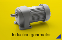 มอเตอร์ GTR Nissei Induction Gearmotor