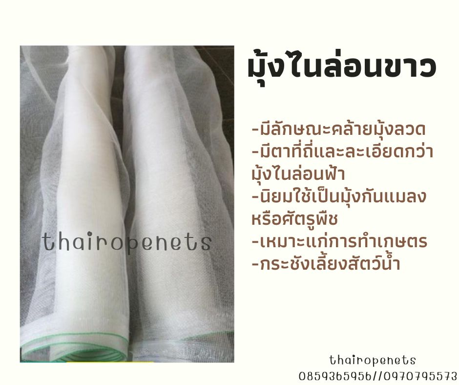 มุ้งไนล่อนขาว (ฺWhite Nylon Net) ตาข่ายไนล่อน มีลักษณะคล้ายมุ้งลวดประตูหน้าต่าง นิยมใช้เป็นมุ้งกันแมลงหรือศัตรูพืช เหมาะแก่การทำเกษตร หรือ กระชังเลี้ยงสัตว์น้ำ
