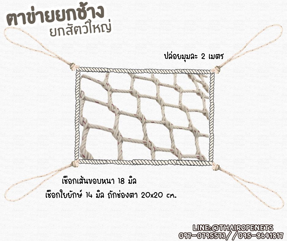 ตาข่ายยกช้าง ตาข่ายเคลื่อนย้ายสัตว์ Carring Bag เชือกใยยักษ์ถัก รับแรงดึงได้มากถึง 4,000 กก. รับทำตามขนาดที่ต้องการ