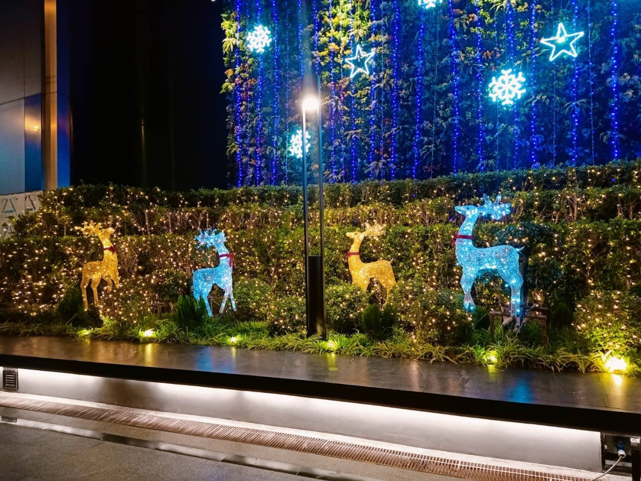 ร้านเช่าต้นคริสต์มาสยินดีนำเสนอ ของประดับ ตกแต่งธีมคริสต์มาสระยิบระยับด้วยแสงไฟพรั่งพร้อมด้วยของใช้ยอดนิยมนานาชนิดในราคาสุดพิเศษ