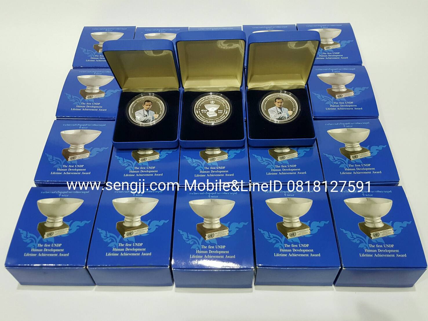 เหรียญกษาปณ์เงินขัดเงา UNDP พ.ศ.2549