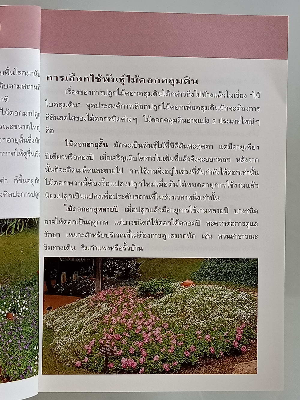 หนังสือมือสอง 171 "คู่มือคนรักต้นไม้ไม้ดอกคลุมดิน" แนะนำถึงประเภทของไม้ดอกคลุมดิน วิธีการปลูก ขยายพันธุ์และการดูแล ความหนา 95 หน้า