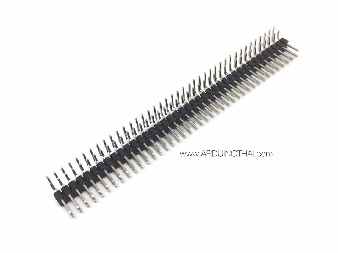 ก้างปลา 2x40 Pin (ขางอ)